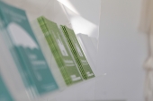Internationale Woche gegen Rassismus - Generalsekretariat - 25.03.2015 (3)